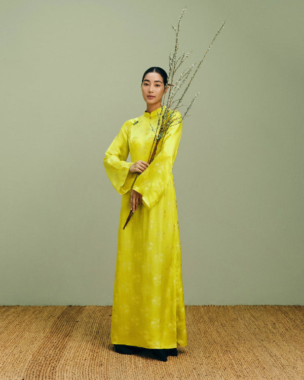 NPYAD30.01 AO DAI